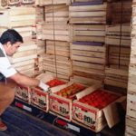En Areguá incautan 14.000 kilos de tomate de contrabando